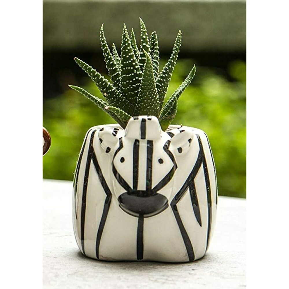 Animal Ceramic Succulent Planter Zebra